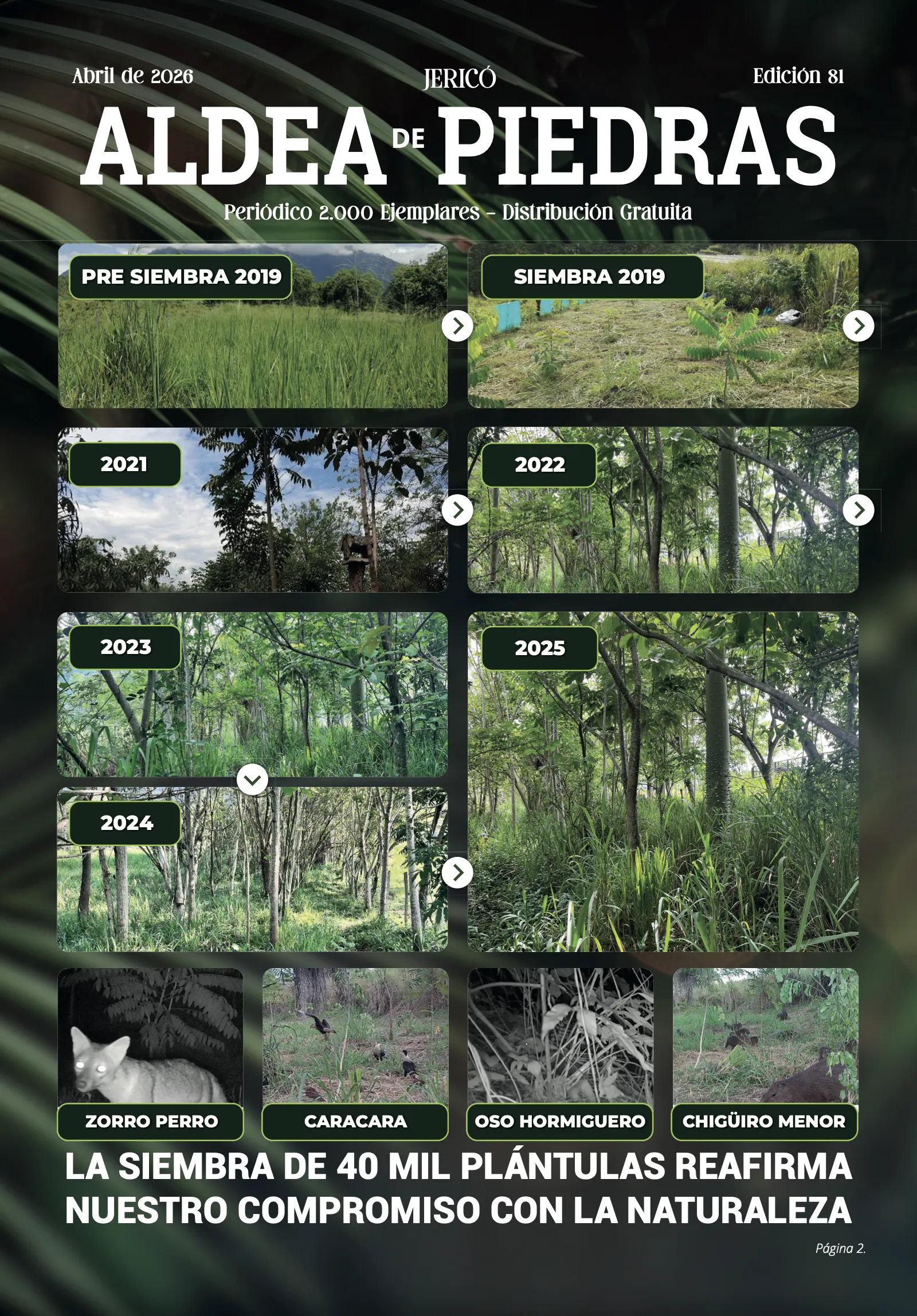 Portada impresa de Aldea de Piedras, edición 81: La siembra de 40 mil plántulas reafirma nuestro compromiso con la naturaleza