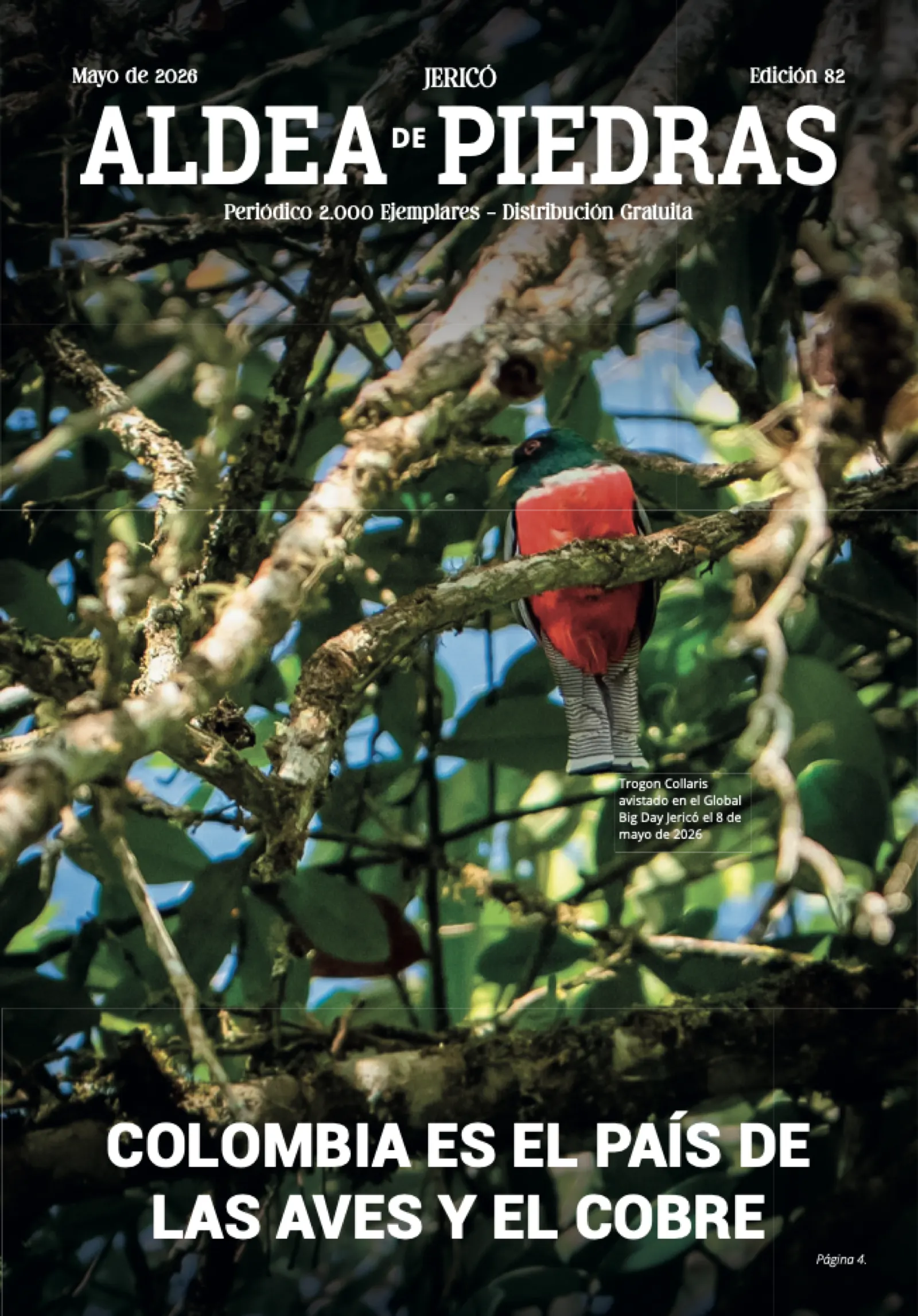 Portada impresa de Aldea de Piedras, edición 82: Colombia es el país de las aves y el cobre
