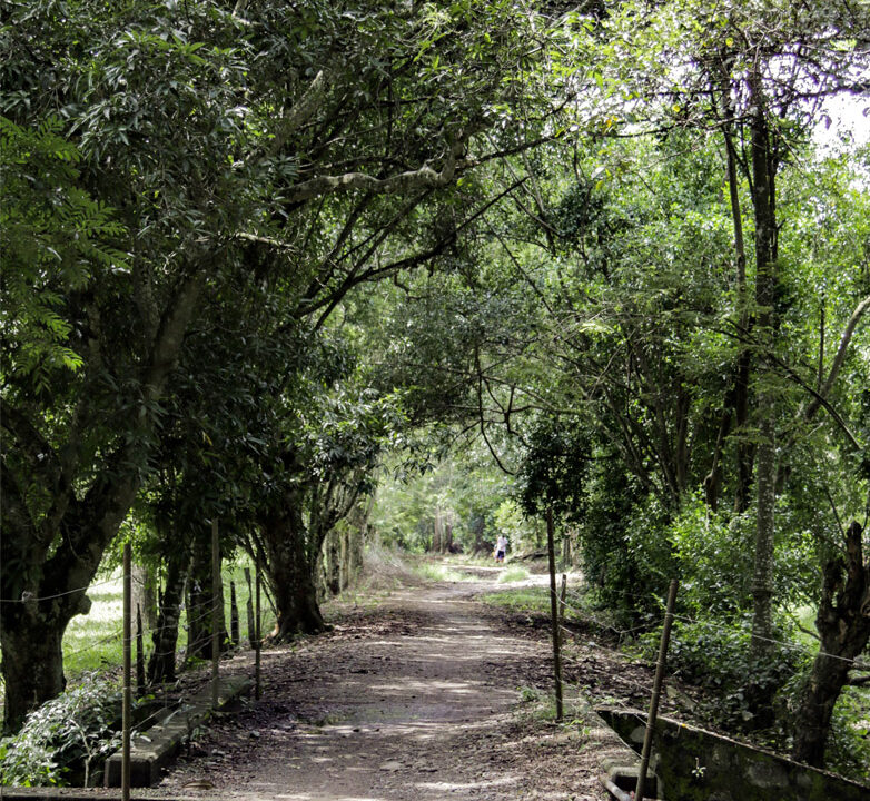 https://www.aldeadepiedras.com/wp-content/uploads/2021/02/IMG_9189-copia-782x720.jpg