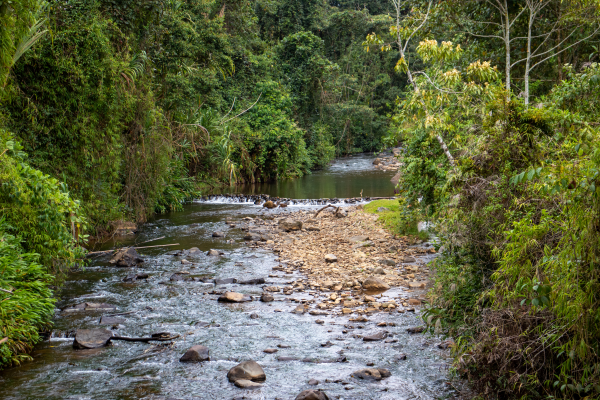 Somos una potencia mundial del agua