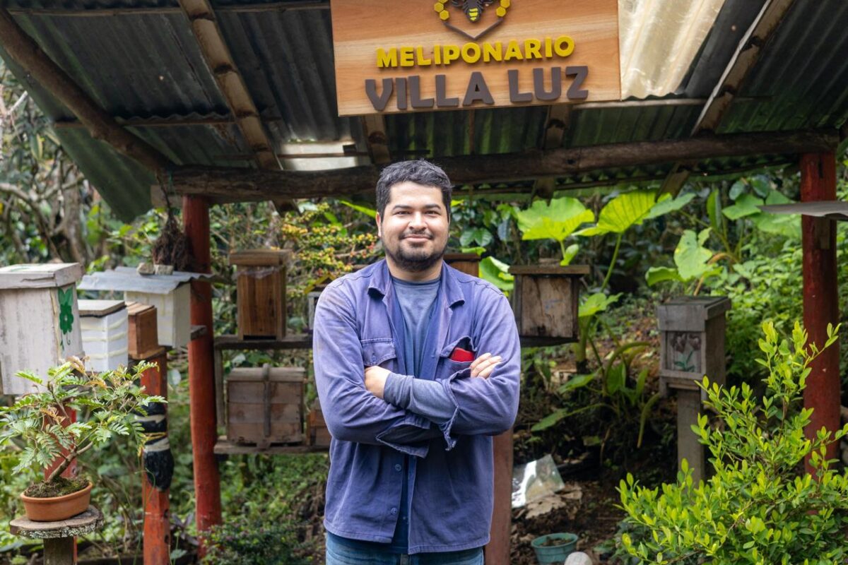 JOVEN CAMPESINO DE JERICÓ ES UN GUARDIÁN DE LAS ABEJAS MELIPONAS