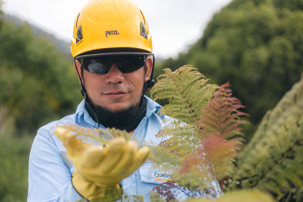 Cuidar los árboles también es sembrar futuro