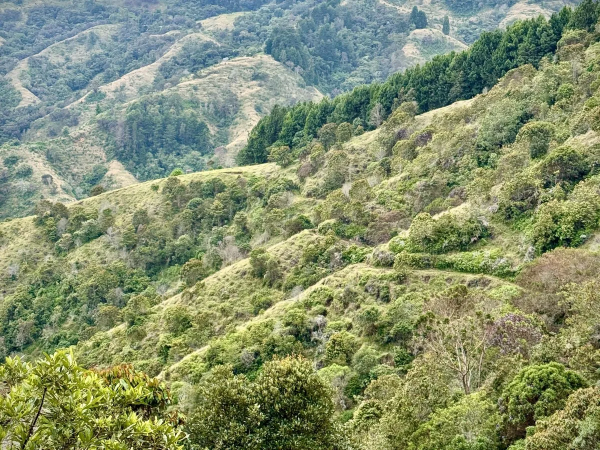 EL PENCIL: UNA RESERVA QUE PROTEGE EL AGUA Y EL FUTURO DE JERICÓ