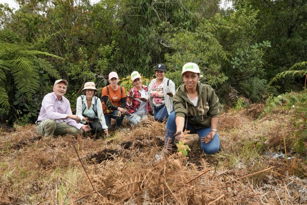 500 árboles, una sola promesa: devolverle a la naturaleza lo que es suyo 500 árboles, una sola promesa: devolverle a la naturaleza lo que es suyo